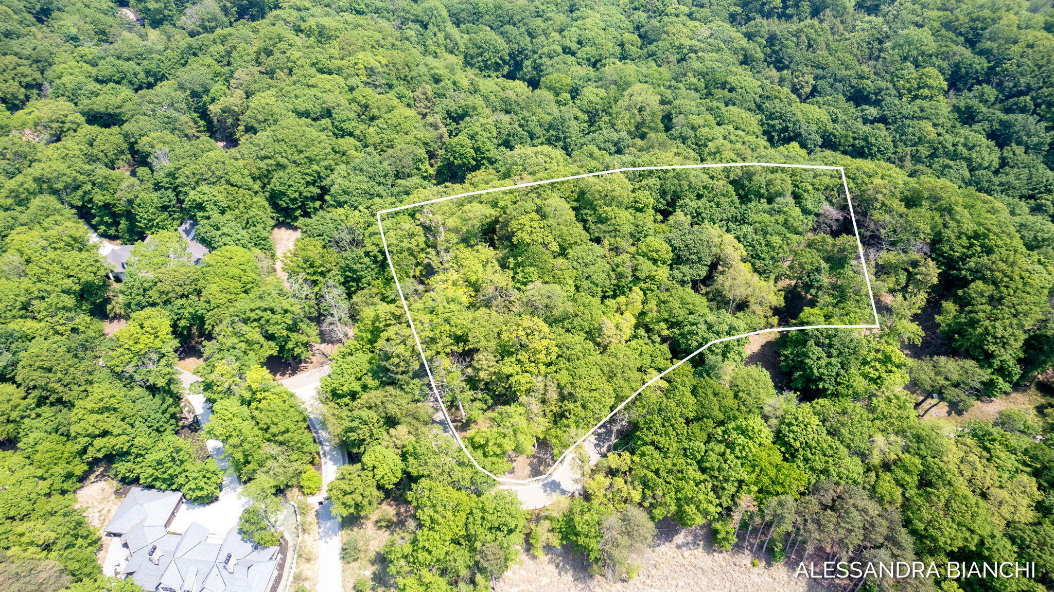 Property Photo: 225 Dunegrass Ridge Drive MI 49453