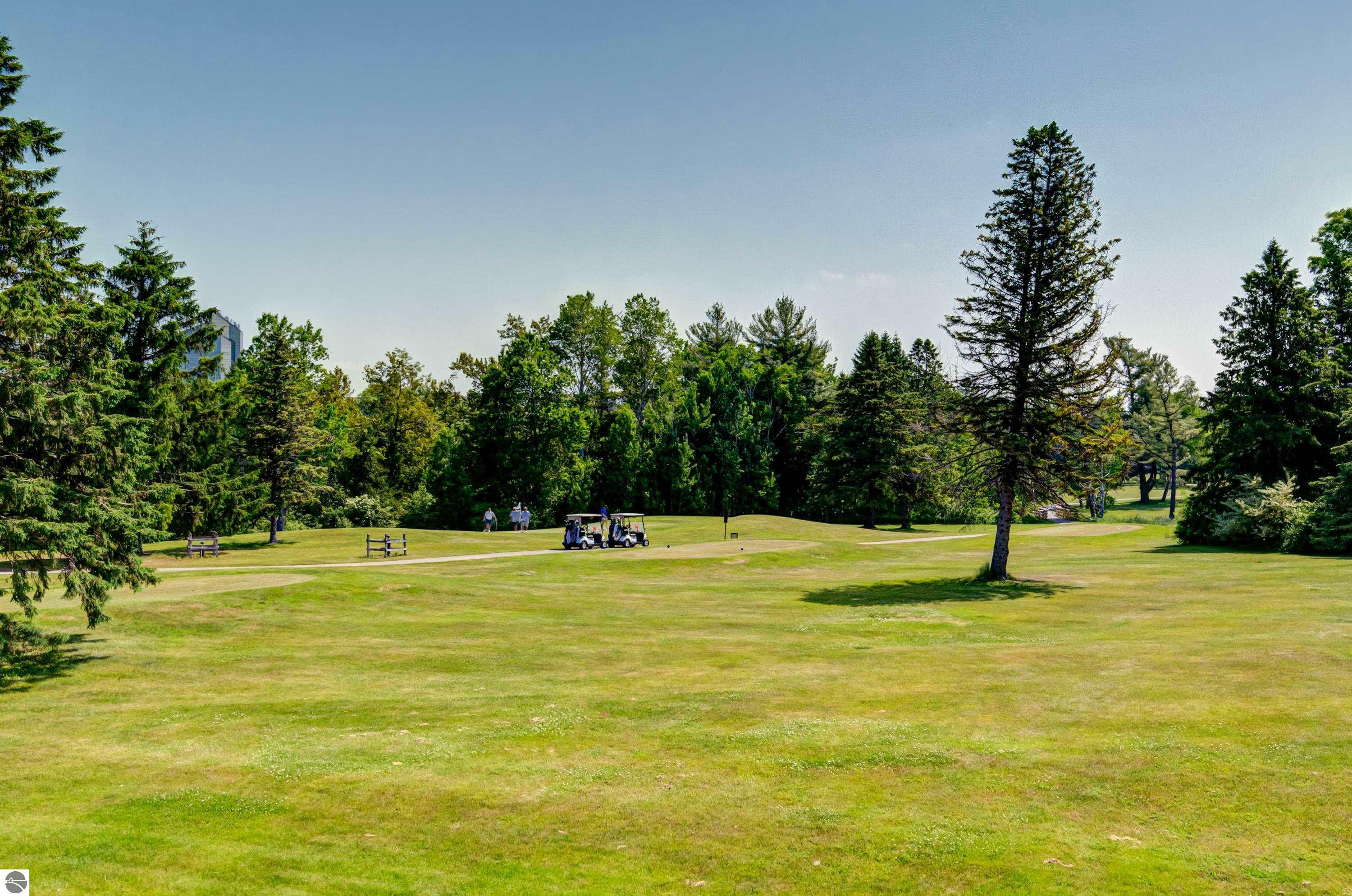 Property Photo: 6022 Holt Road MI 49690