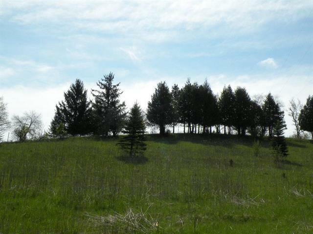 Property Photo:  217 Stone Hill Court  WI 54971 