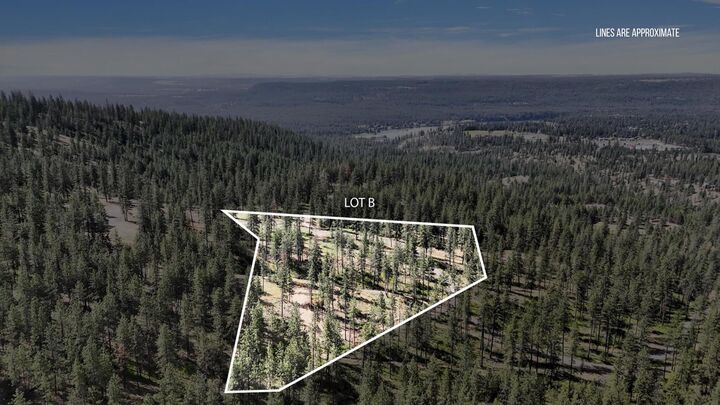 Property Photo:  Nka Lower Weaver Lot B Way  WA 99006 
