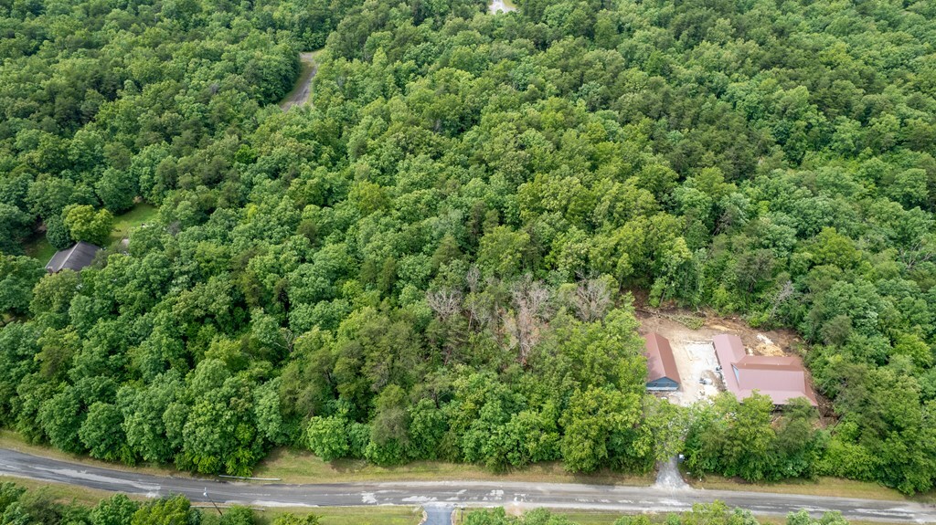 Property Photo:  1.09 Ac N Lake Tr  TN 38574 