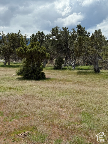 Unknown  Spring City UT 84662 photo