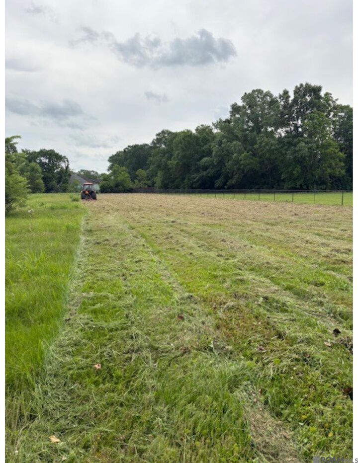 Property Photo:  15040 La Hwy 73  LA 70769 