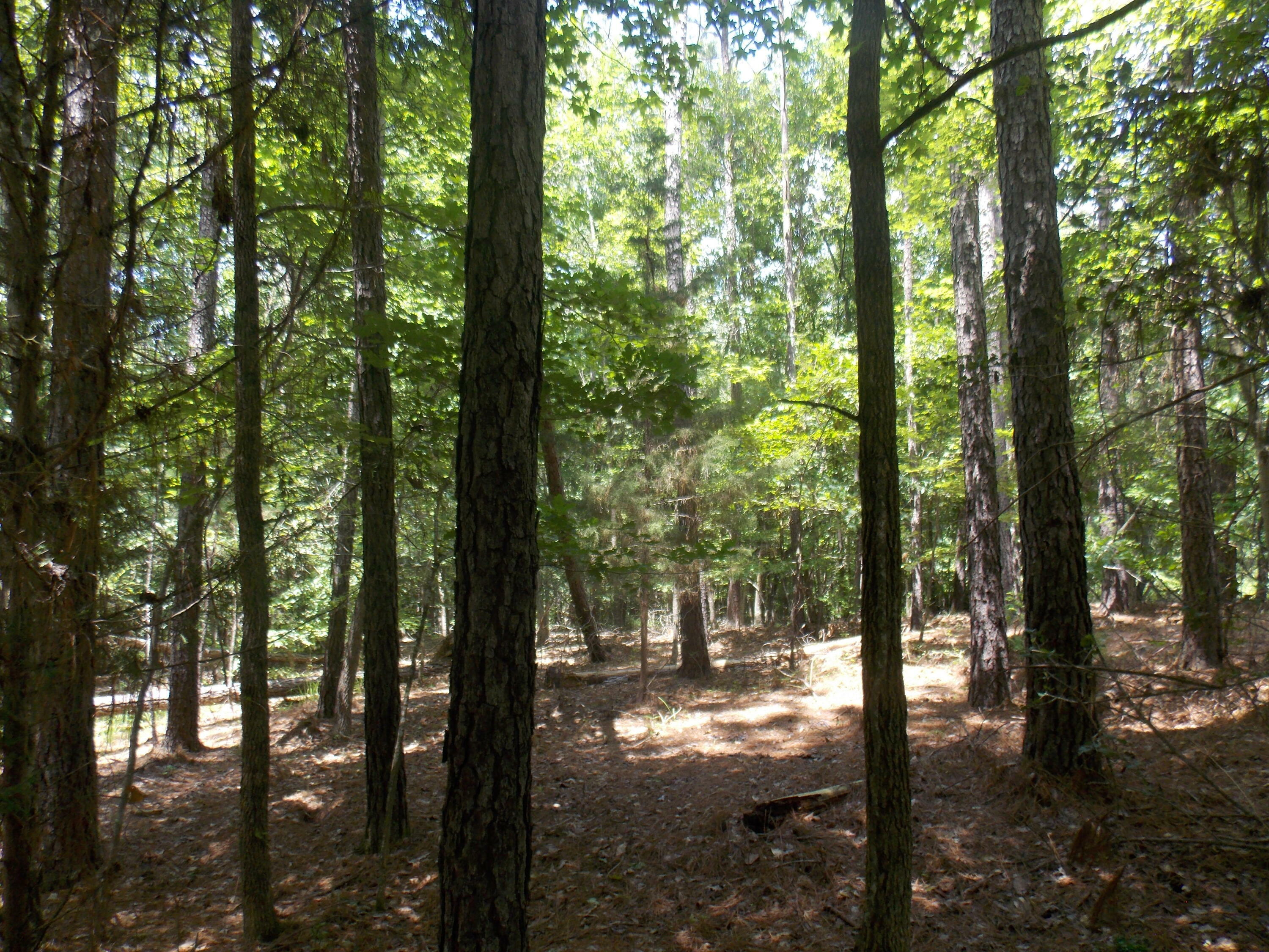 Property Photo:  1054 Pine Point Lane  GA 30668 