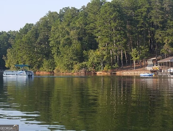 Property Photo: Lot 1687 Point Road SC 29693