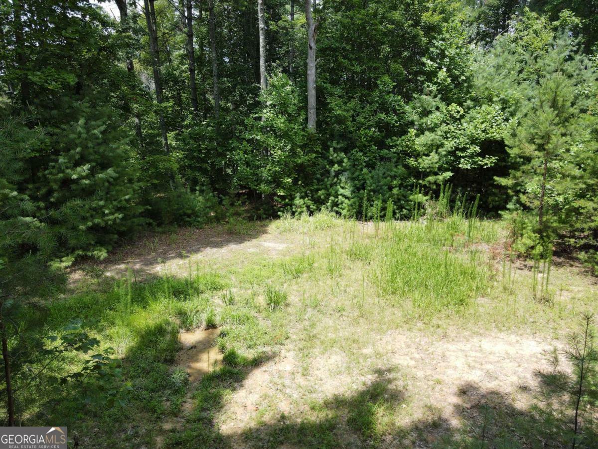 Property Photo: Lot 4 Scouts Overlook Lane GA 30560