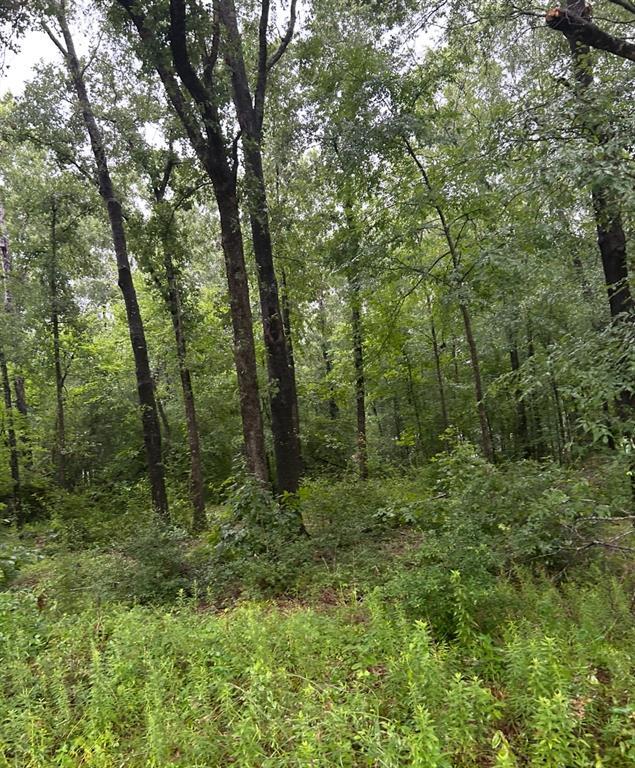 Property Photo: Tbd Moonbeam Dr TX 77351