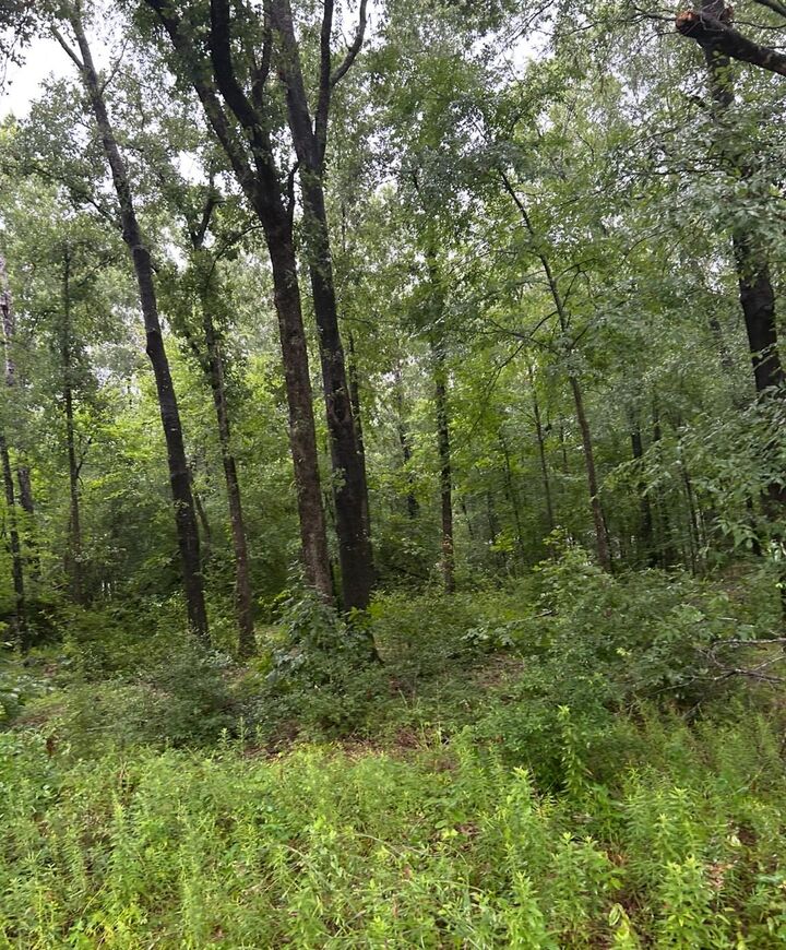 Property Photo:  Tbd Moonbeam Dr  TX 77351 