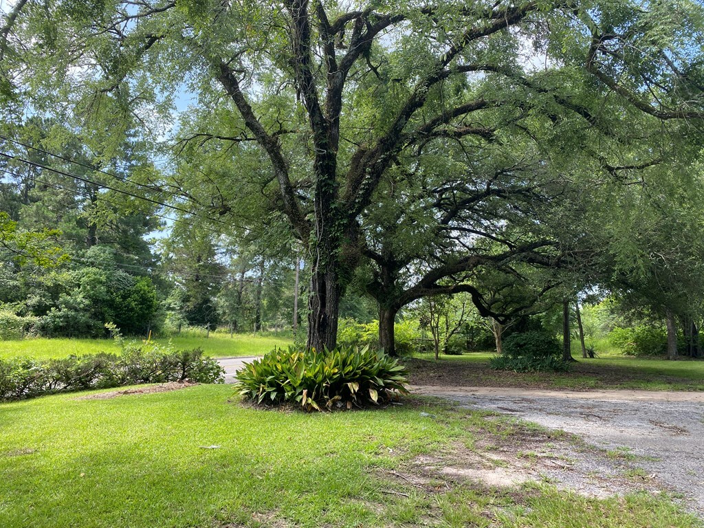 Property Photo: 459 N Main Street TX 75845