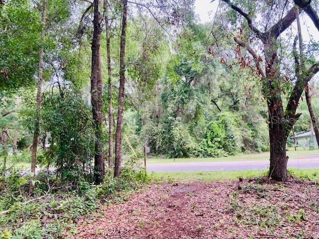 Property Photo: 407 Raulerson Road FL 32190