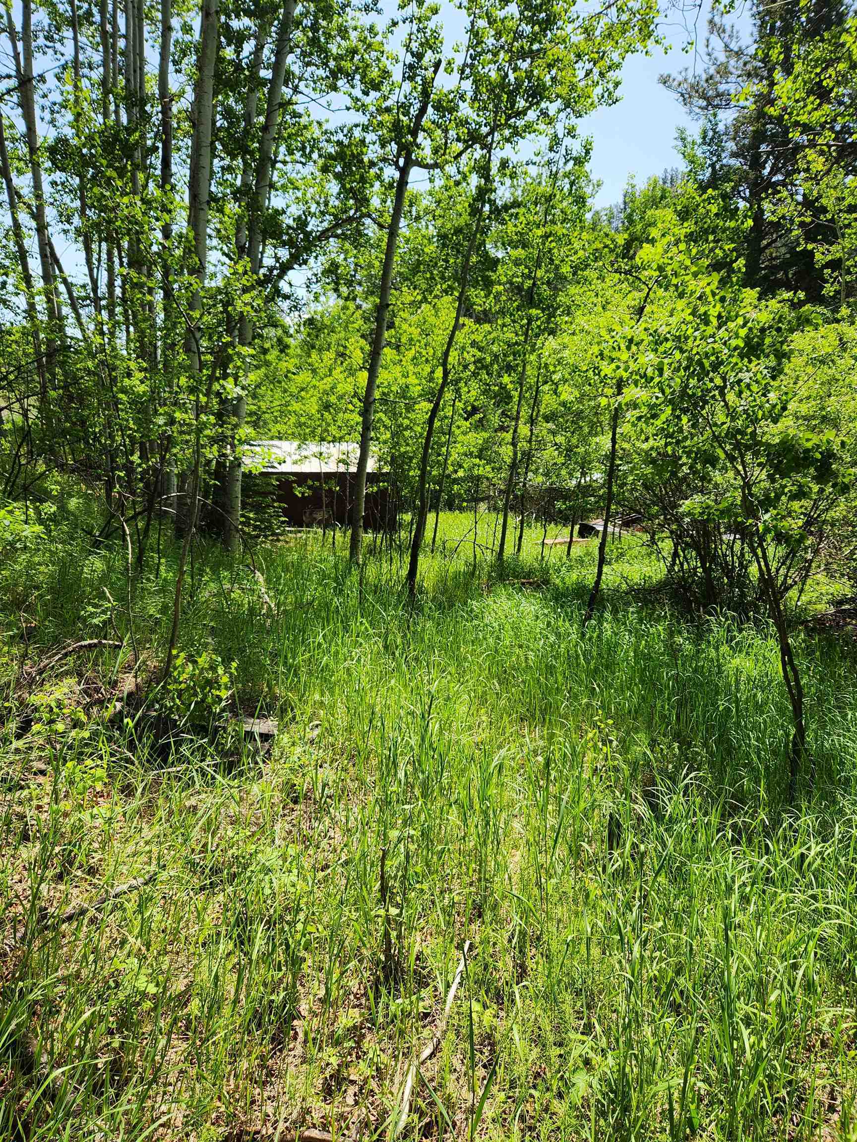 11670 Rochford Road  Rochford SD 57745 photo