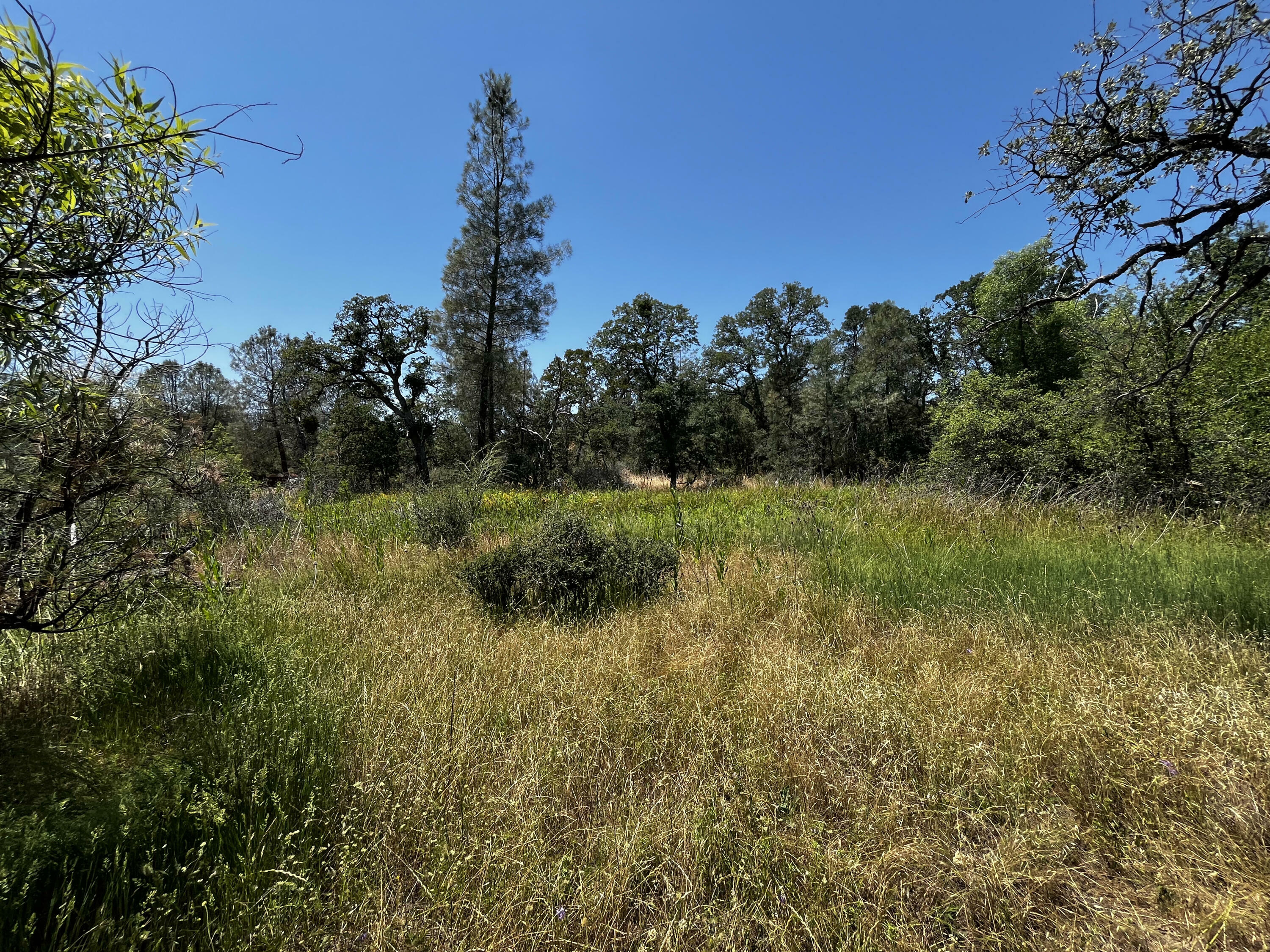 Property Photo:  Wilson Hill Road  CA 96059 
