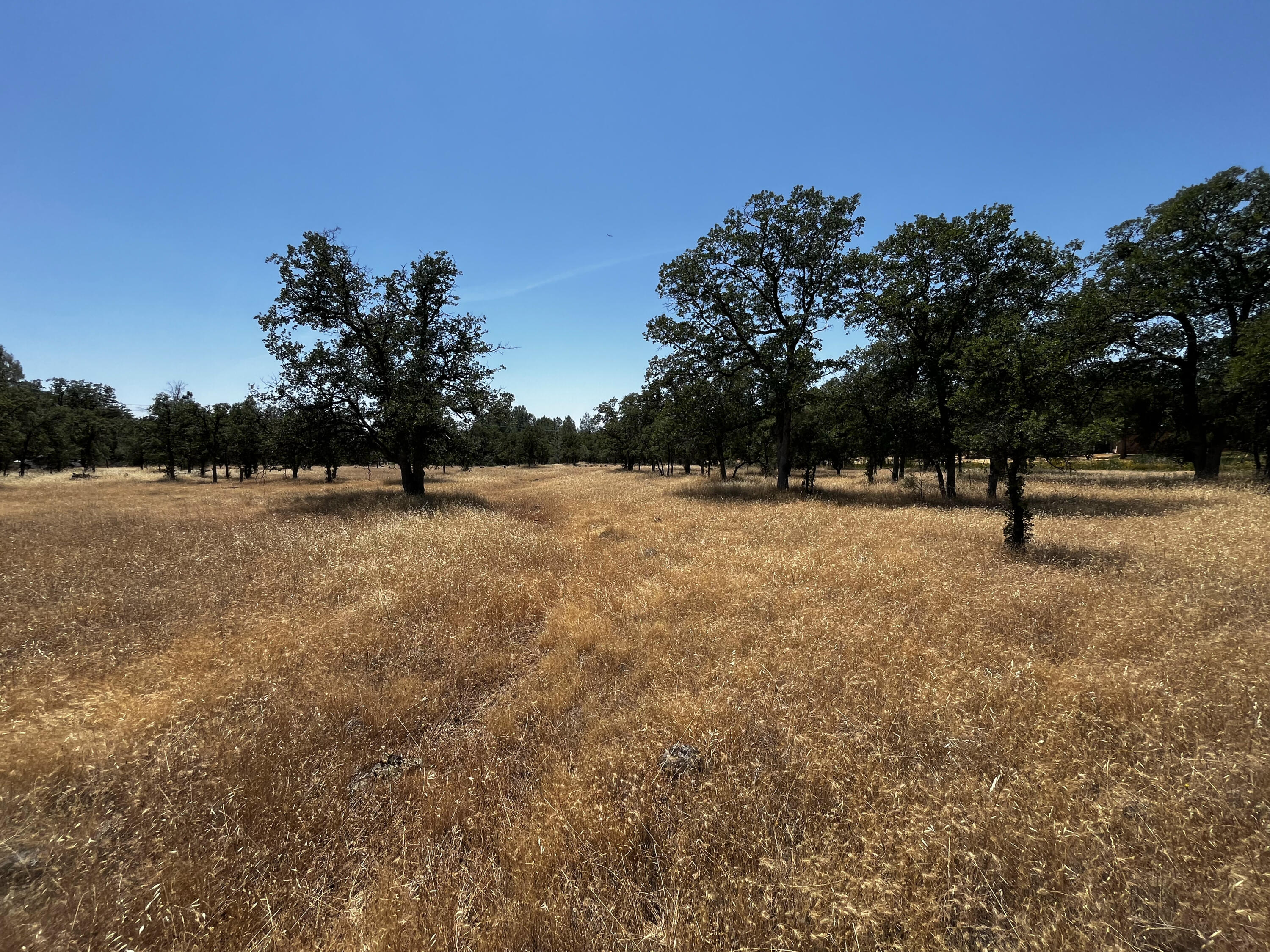 Property Photo:  Wilson Hill Road  CA 96059 