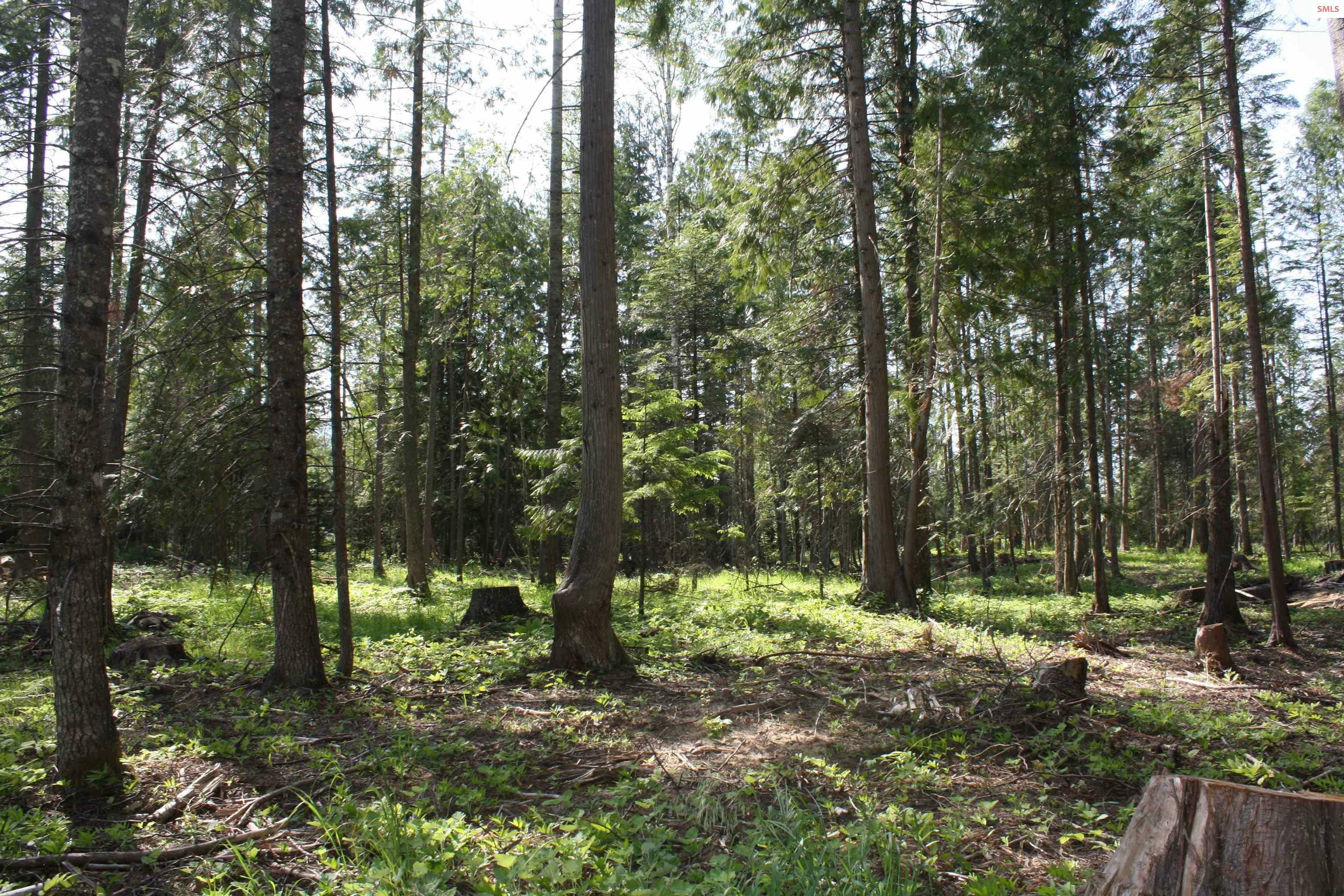 Property Photo: Nna River Lake Drive ID 83811