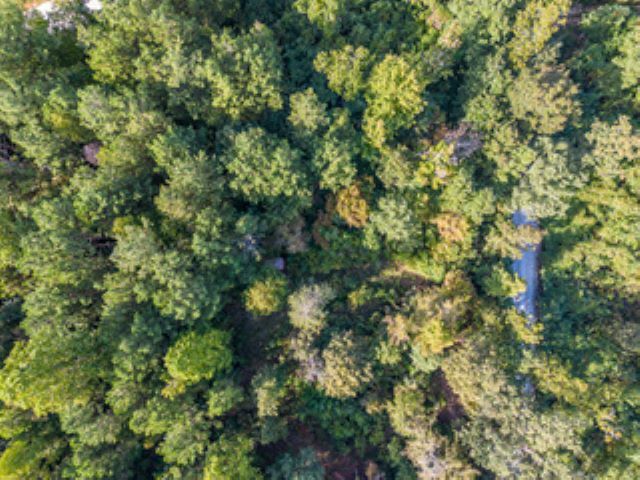 Property Photo:  209 N Lakeside Drive  SC 29643 