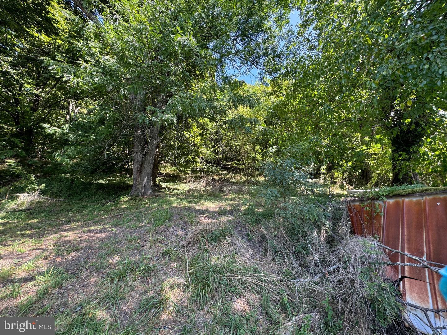 Property Photo: 313 Independence Street MD 21502