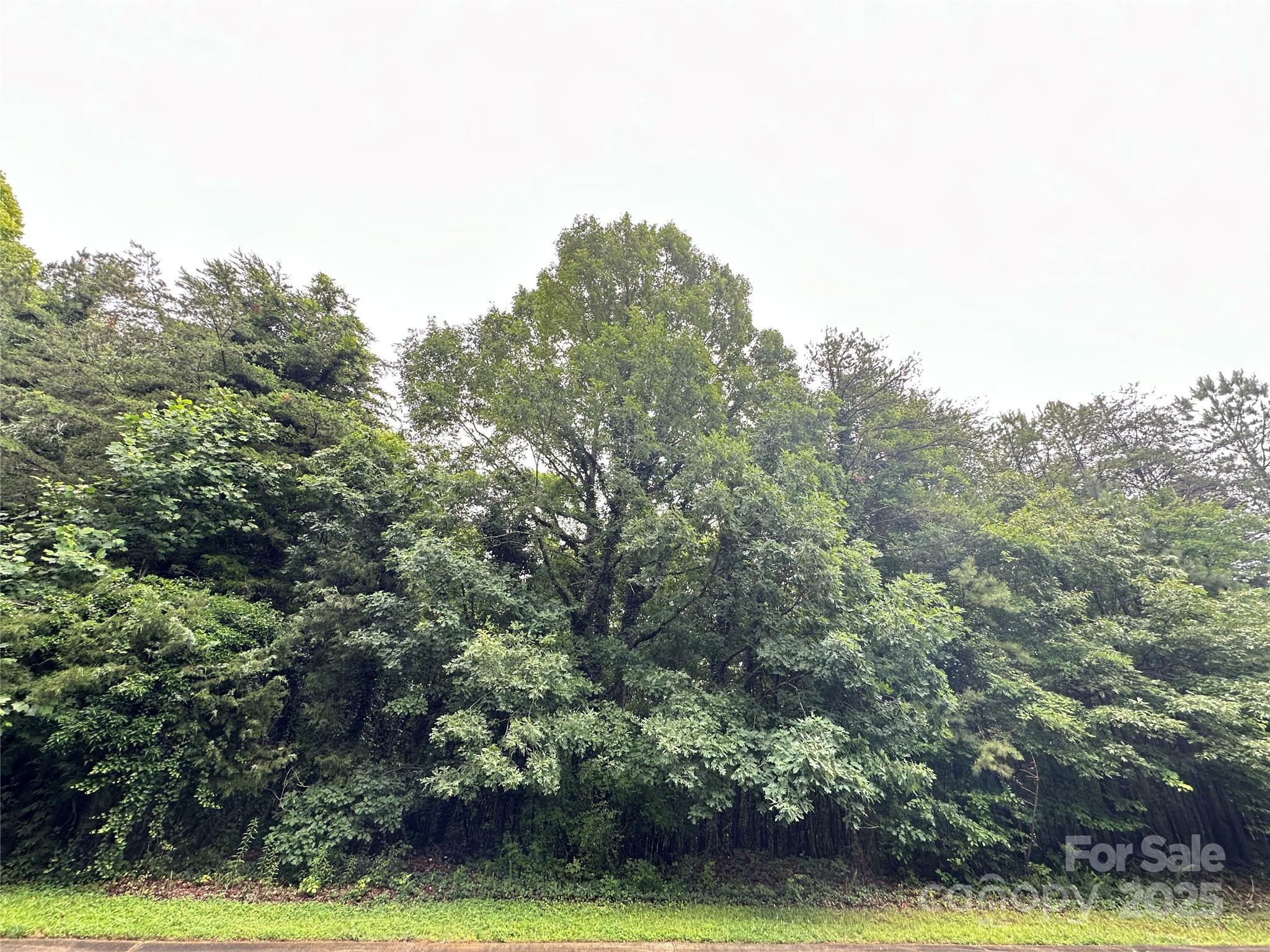 Property Photo: 8810 Hollybrook Lane NC 28227