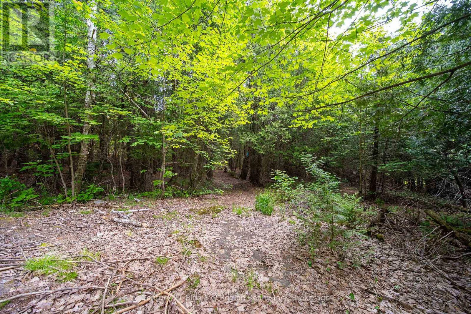 Photo de la propriété:  Lot 20 Collins Drive  ON P1B 8G3 