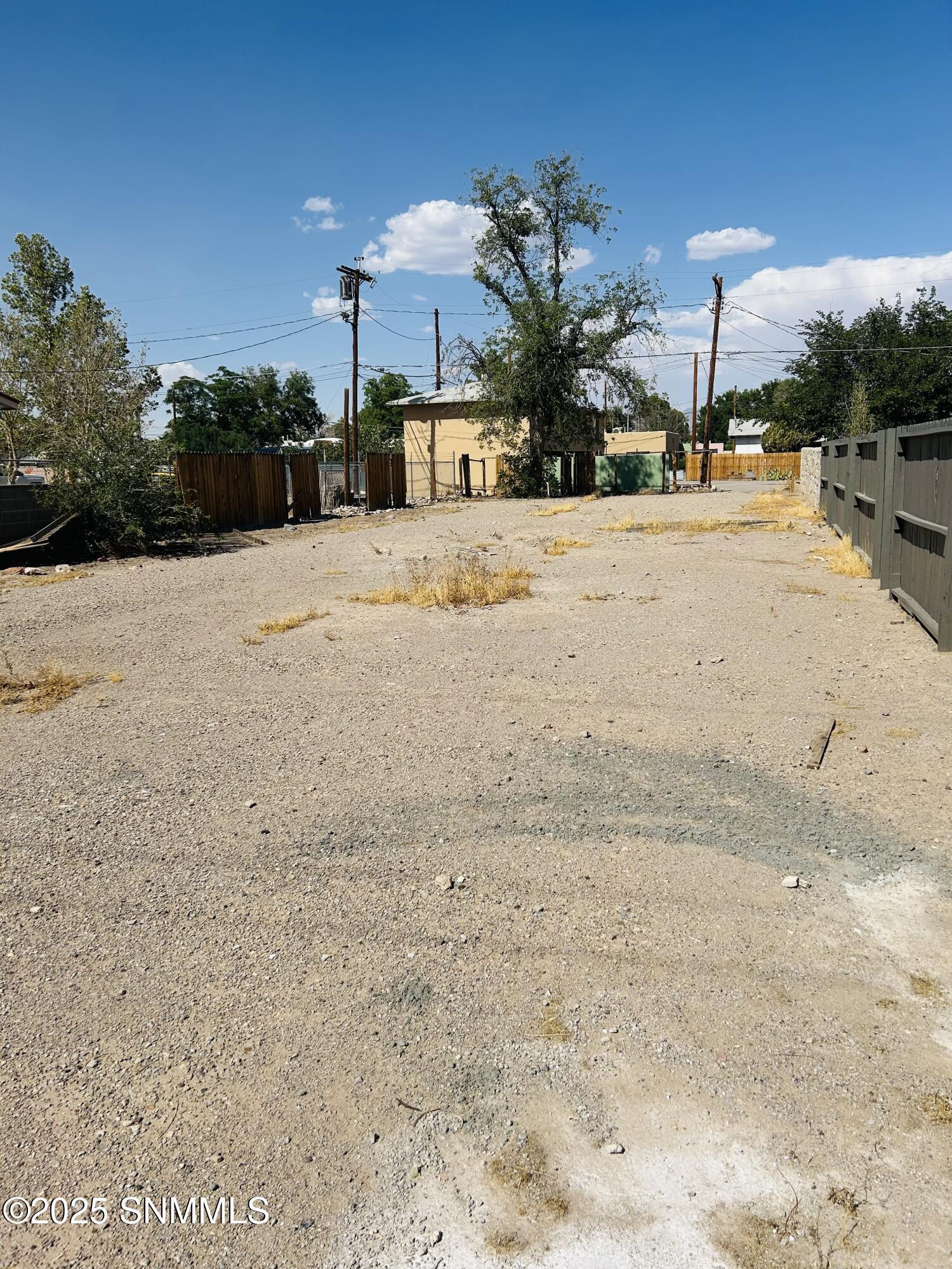 Property Photo:  420 N Mesilla Street  NM 88005 