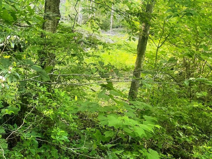 Property Photo:  Lot 14.1 Wiccopee Road  NY 10579 
