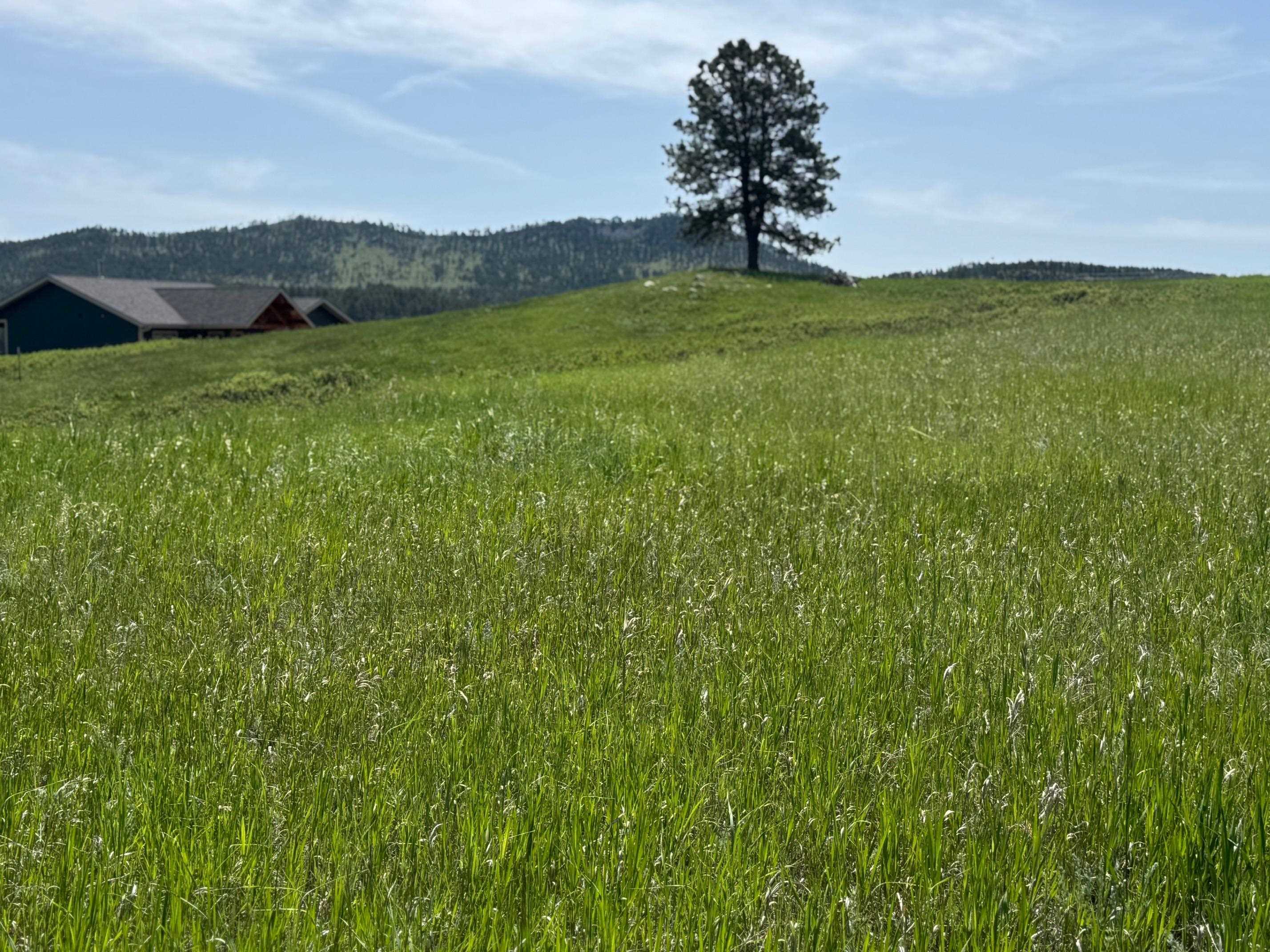 Property Photo: Lot 26 Park Avenue SD 57730