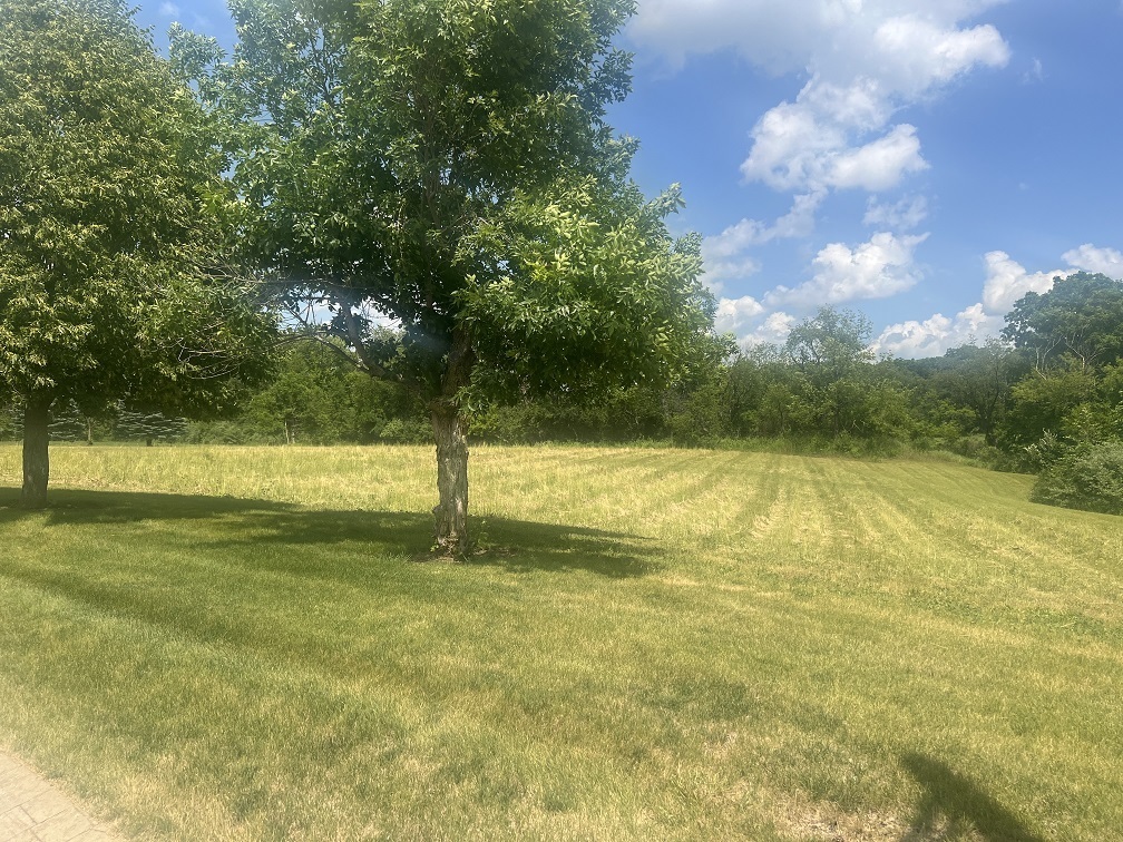 Property Photo: 18N647 Ridgefield Boulevard IL 60142