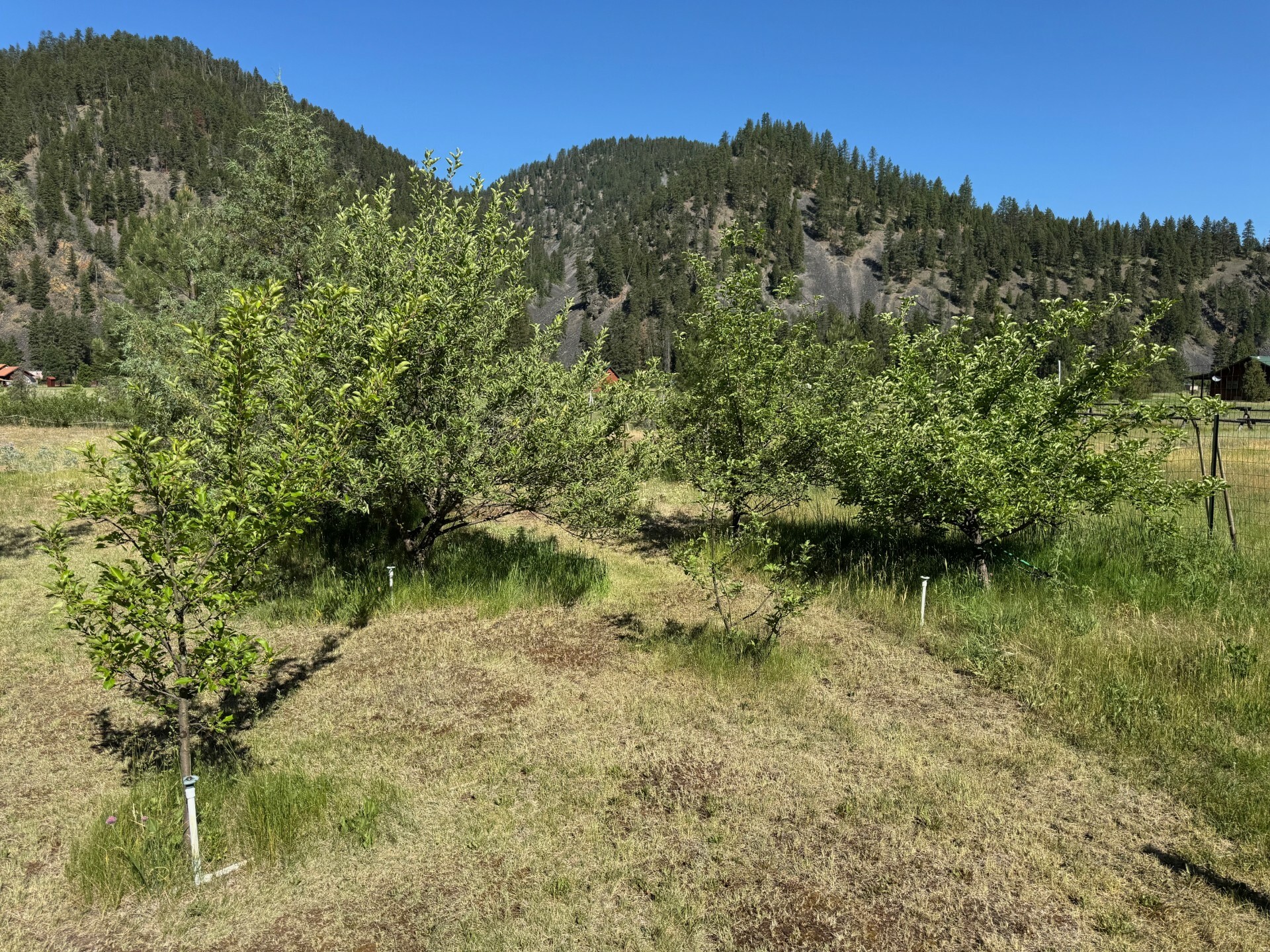 Property Photo: 30 Idle Hour Way MT 59825