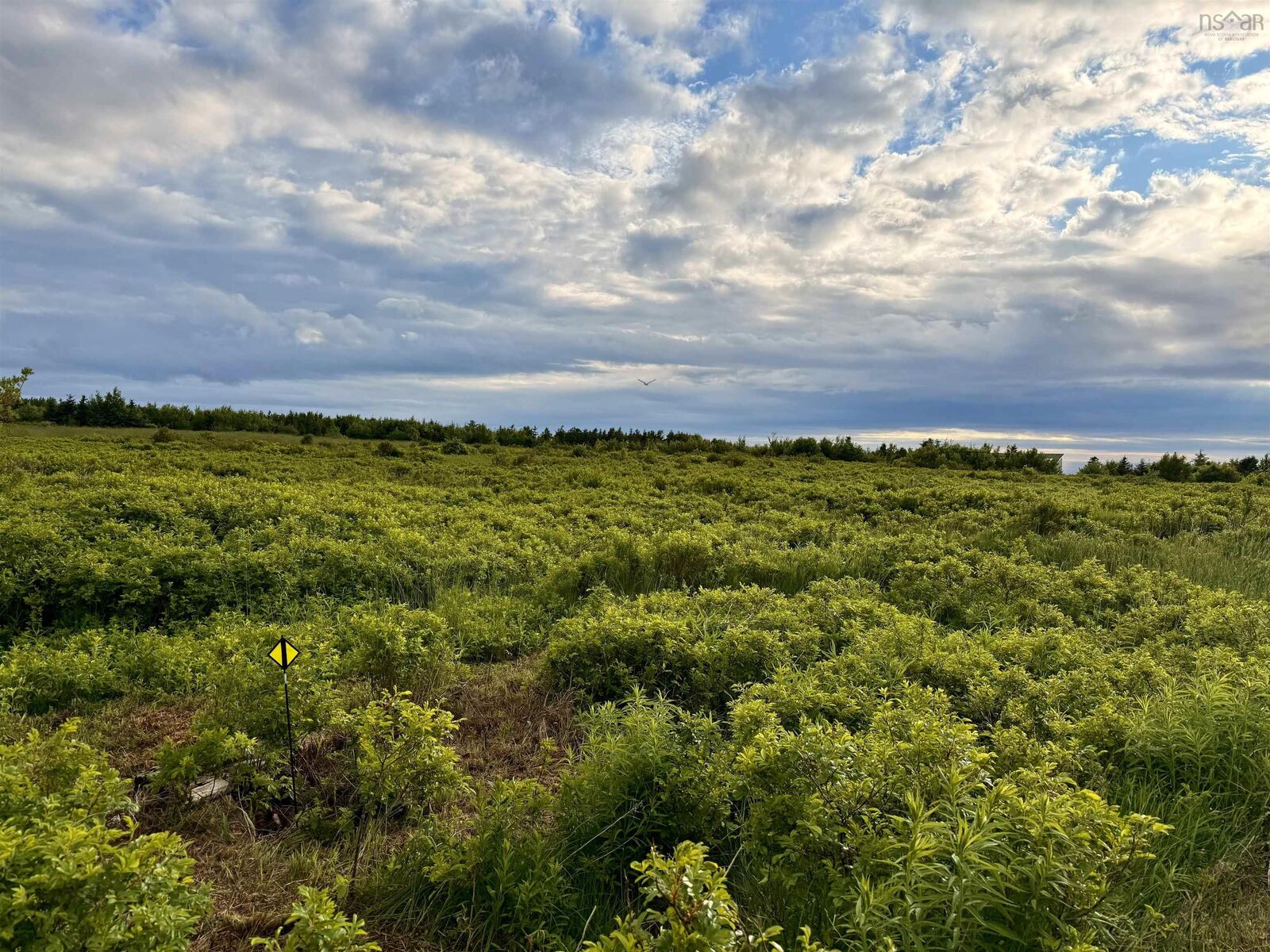 Property Photo: Chemin Simeon Aucoin Road NS B0E 3A0
