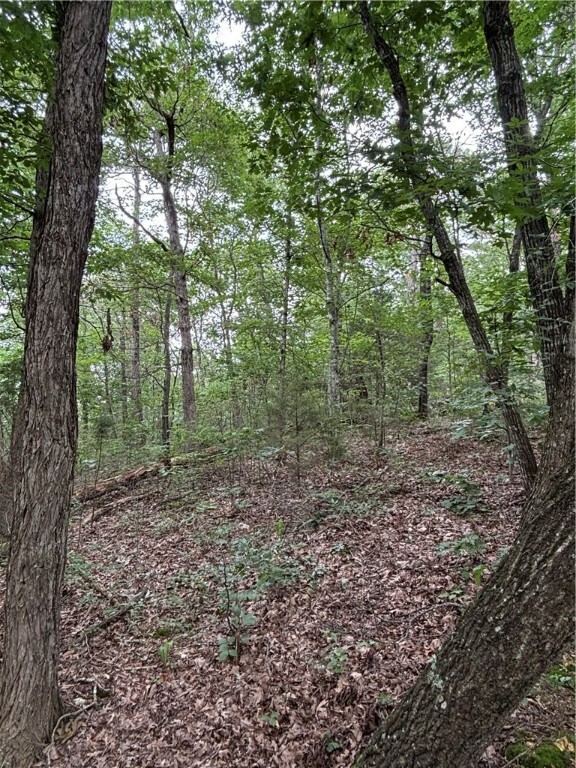 Property Photo:  Tbd Cr 507  AR 72616 
