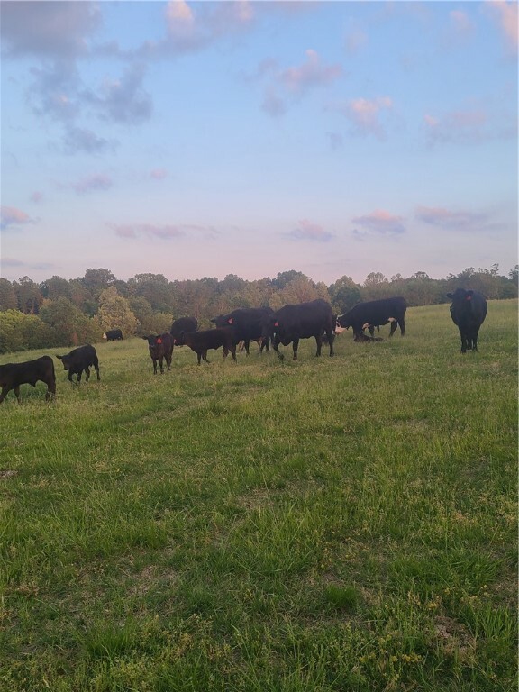 Property Photo: 9.69 Acres Low Gap Road MO 64854