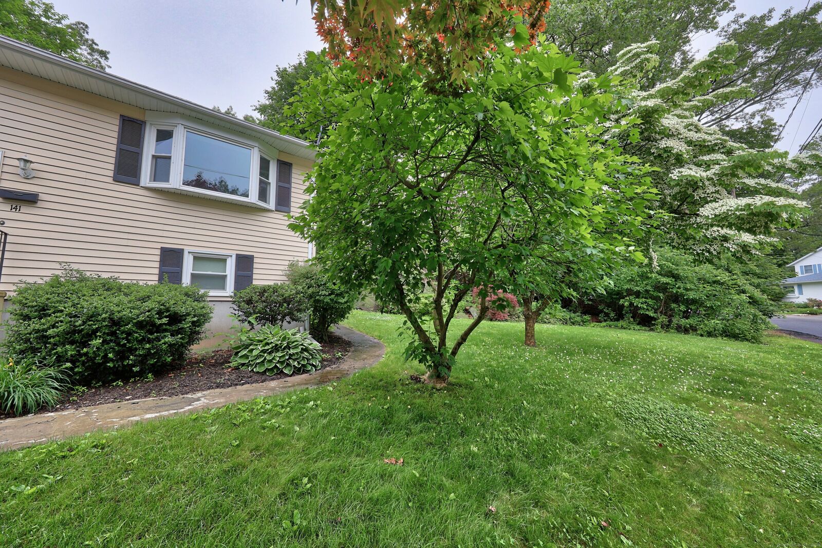 Property Photo:  141 Joy Road  CT 06708 