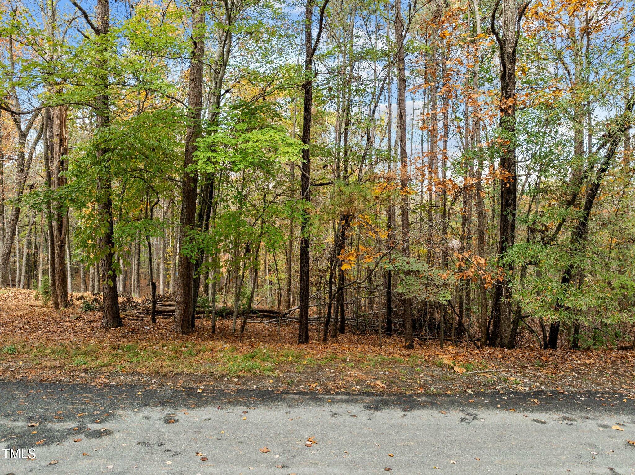 Property Photo: Tbd Hudson Hills NC 27312