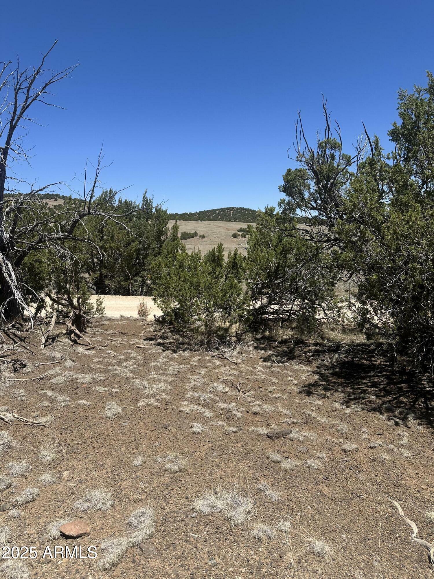 Property Photo:  3 Acr 3195 -- 273  AZ 85940 