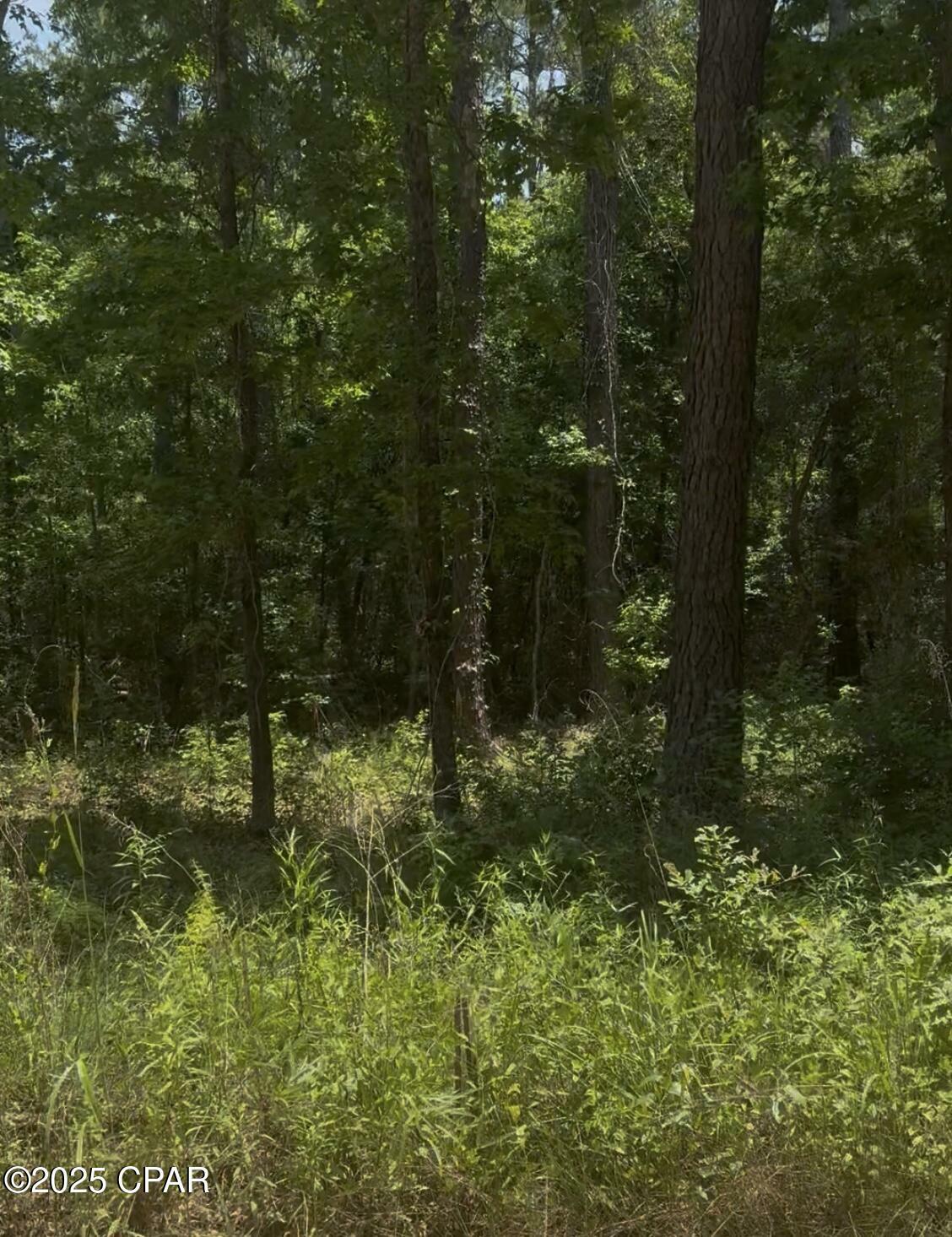 Xxx Ben Road 32428  Chipley FL 32428 photo