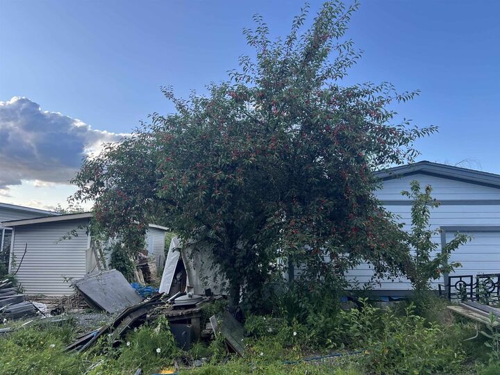 Property Photo: 12473 114 Avenue BC V3V 3N8