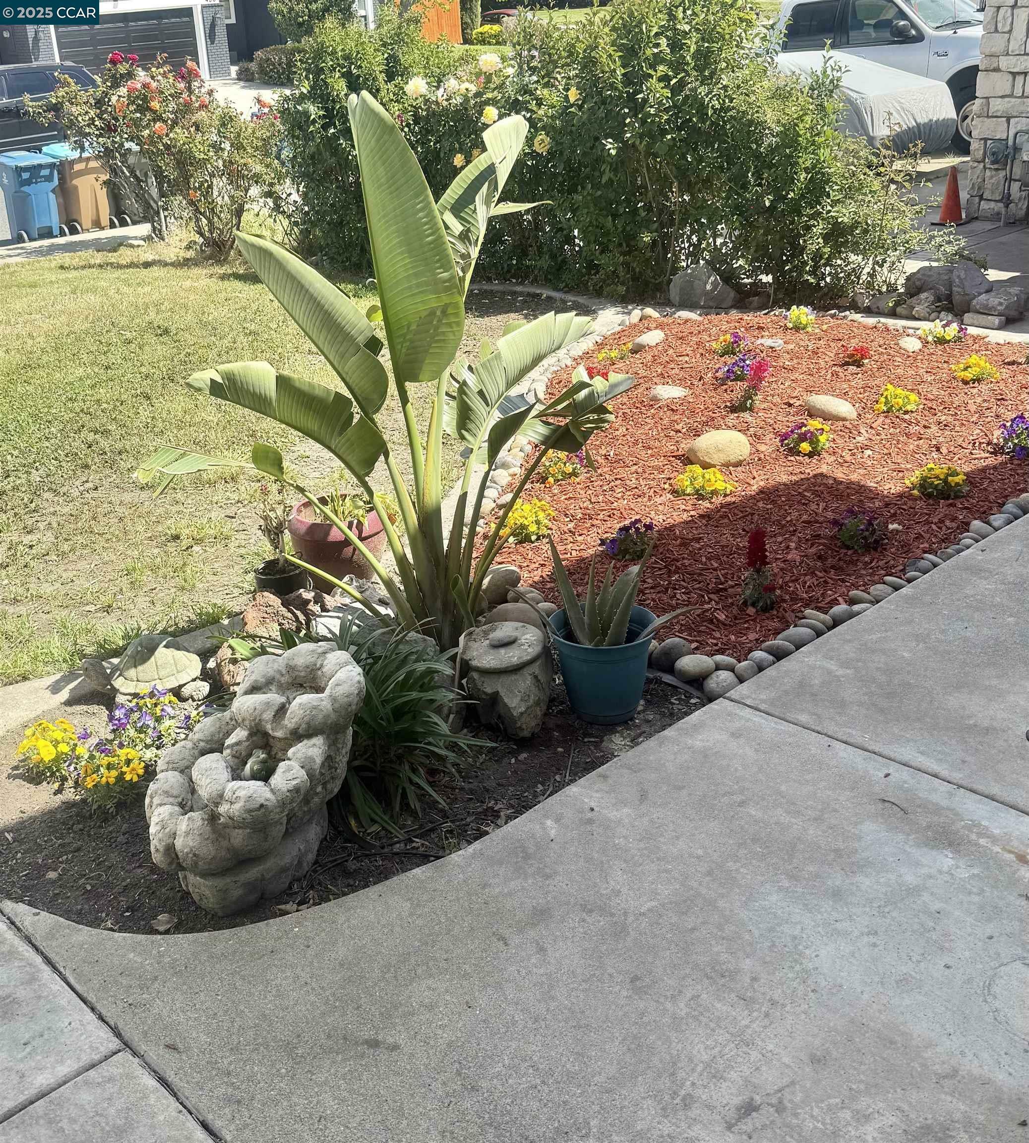 Property Photo:  425 Sandy Hill Ct  CA 94509 