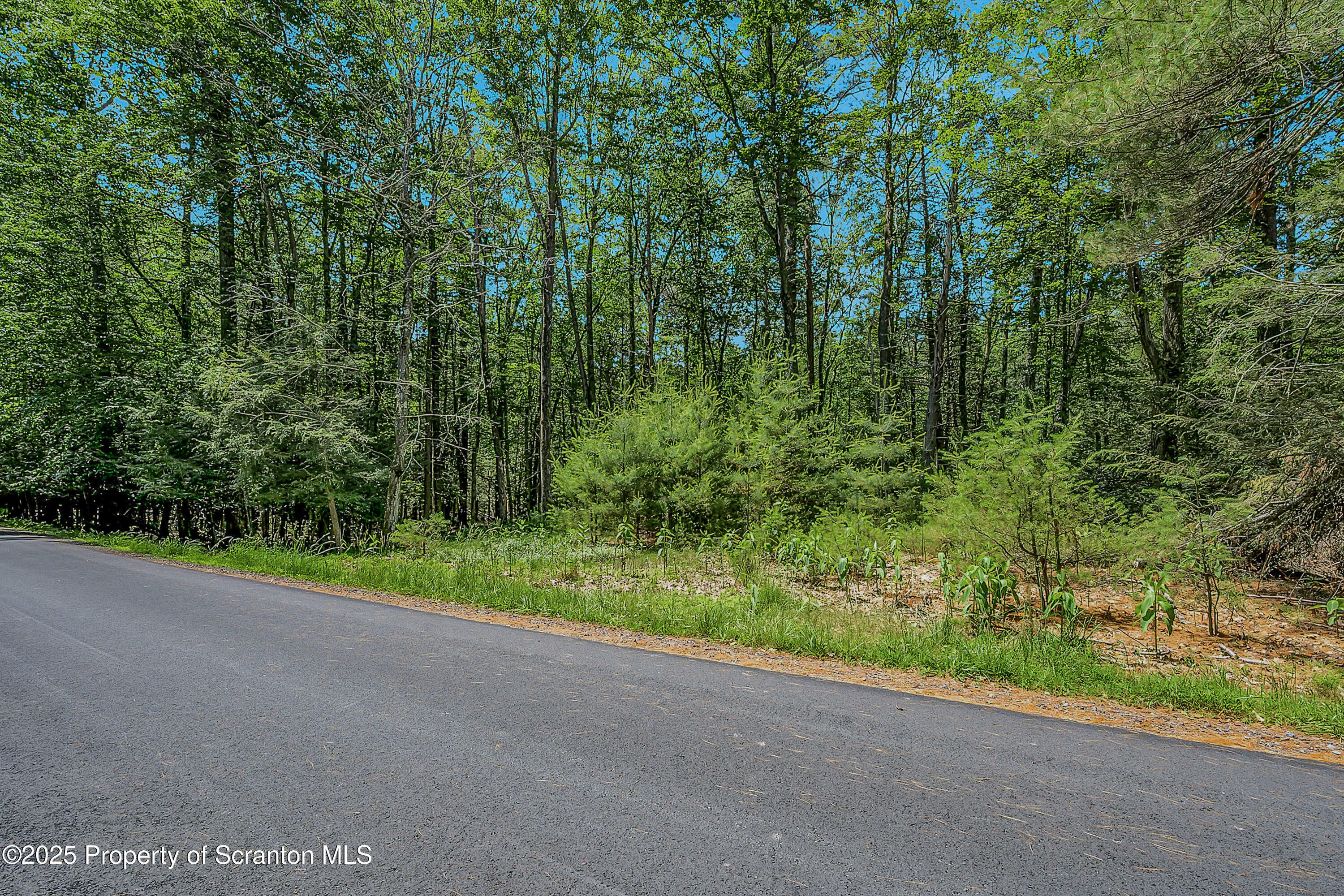 Property Photo:  165 Indian Drive  PA 18426 