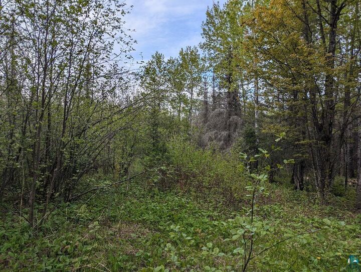 Property Photo:  Xx37 W Lismore Rd  MN 55803 
