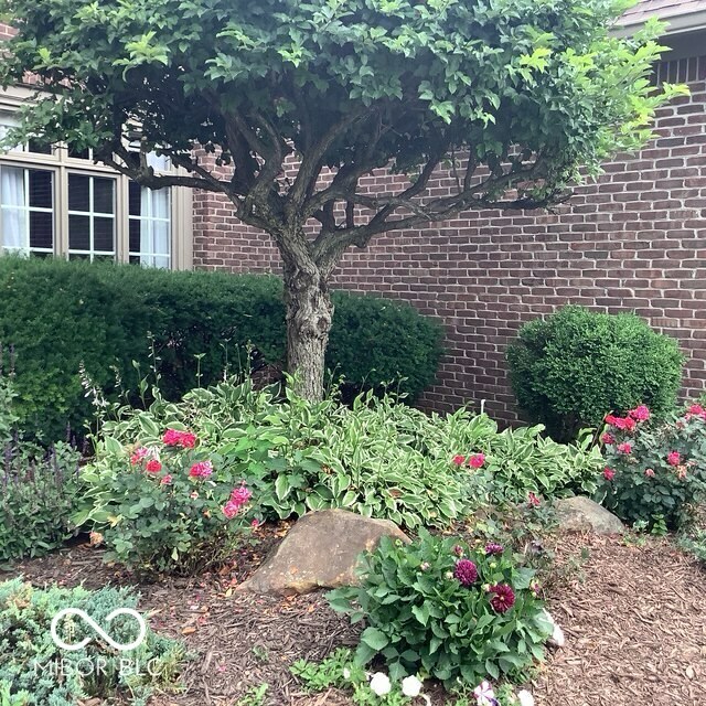 Property Photo: 1273 Helford Lane IN 46032