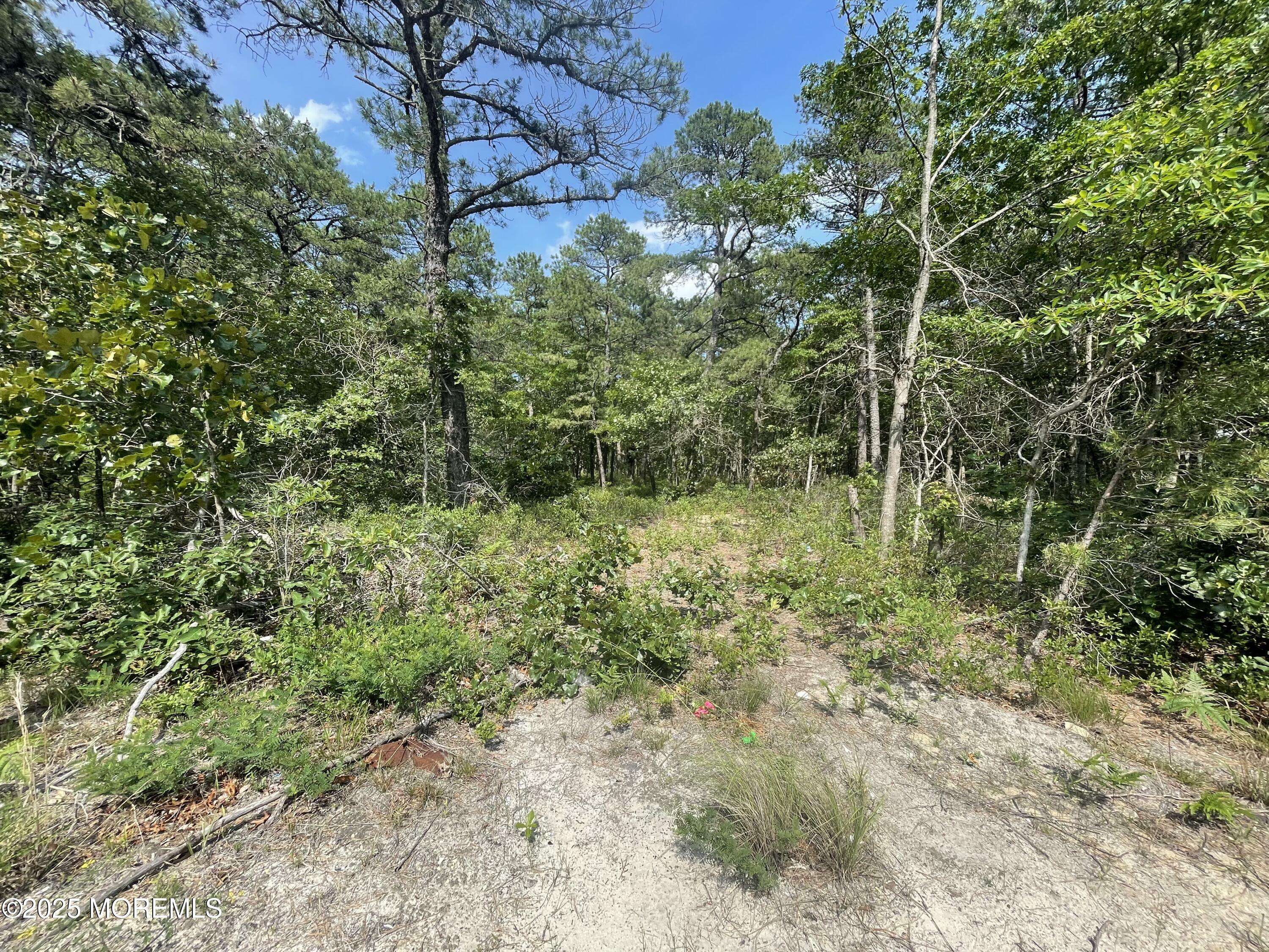 Property Photo: 1463 Route 539 NJ 08087