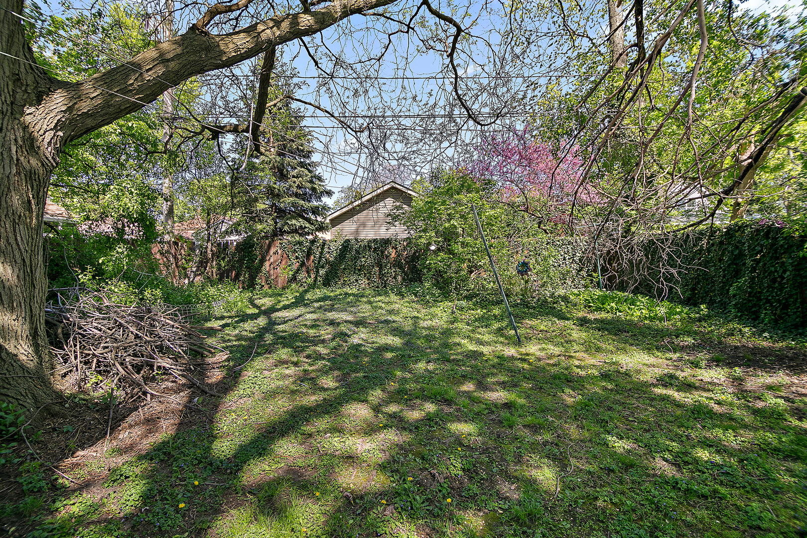 Property Photo:  11125 S Fairfield Avenue  IL 60655 