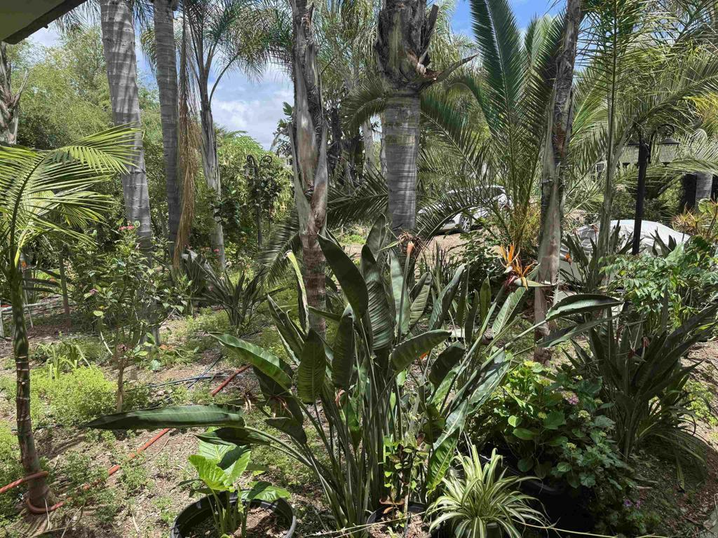 Property Photo: 6591 Black Rail Road CA 92011