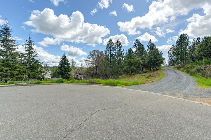 Property Photo: 0 Whitcomb Avenue CA 95713