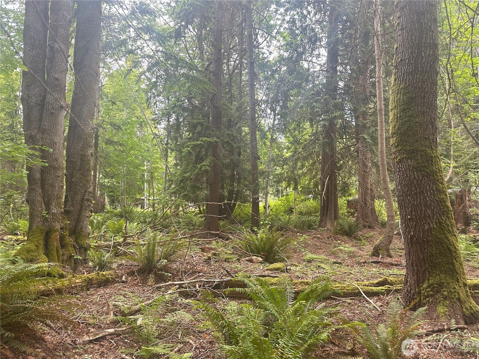 Property Photo: 0 Black Point Court WA 98320