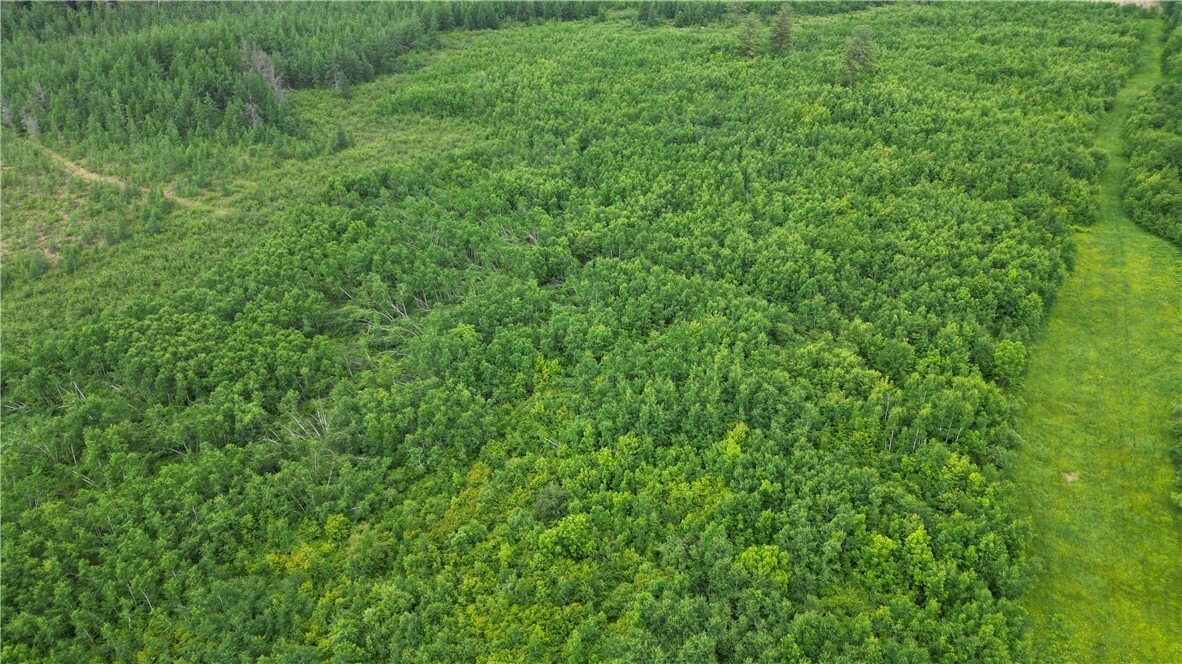 Property Photo: 80 Acres Off Of Hwy 40 WI 54867
