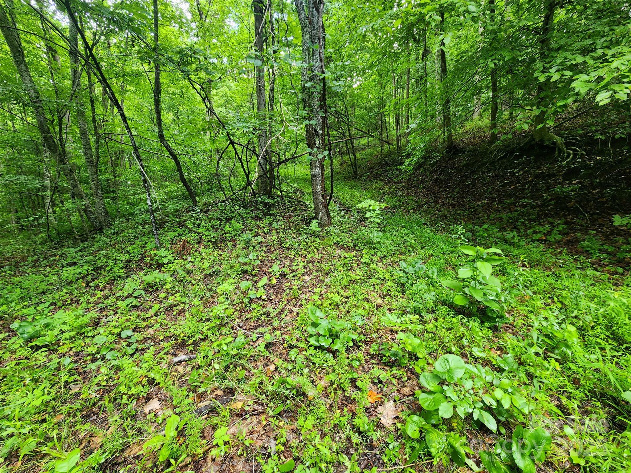 Property Photo: 9999 Henry Worley Lane NC 28753