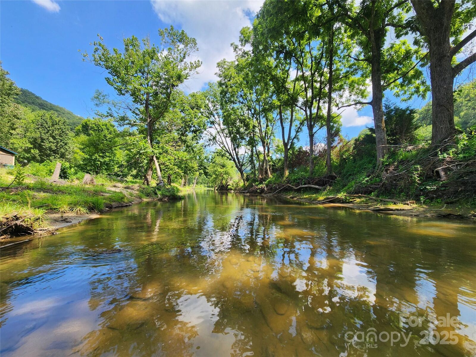 Property Photo:  2978 Nc 9 Highway  NC 28711 
