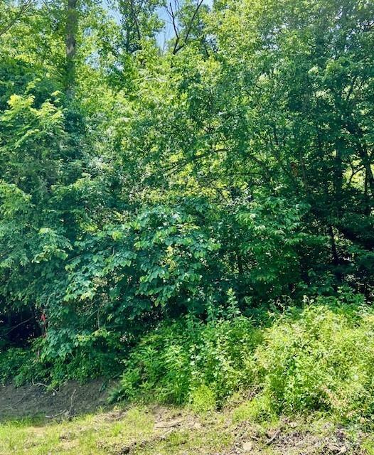 Property Photo: Lots P12-22 &Amp P12-23 Green River Cove Road 22 &Amp 23 NC 28773