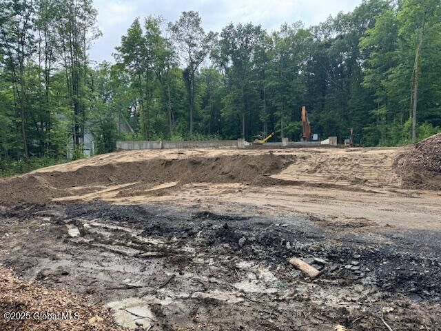 Property Photo:  25 Eleanor Court  NY 12118 