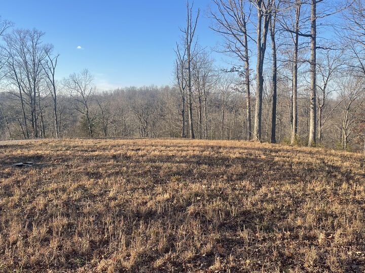 Property Photo: Lot 91 Cumberland Shores KY 42633